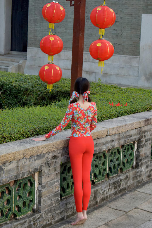 爆款好货 V领长袖-大红牡丹 商品图1