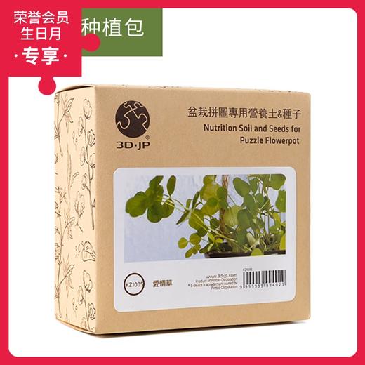 盆栽种植包 KZ1005 爱情草 商品图0