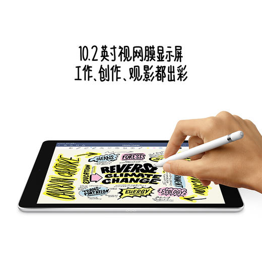 HK| Apple【壳膜套装版】iPad 10.2英寸平板电脑 2021年新款（64GB WLAN版/A13芯片 MK2K3CH/A） 深空灰色（普通快递） 商品图3