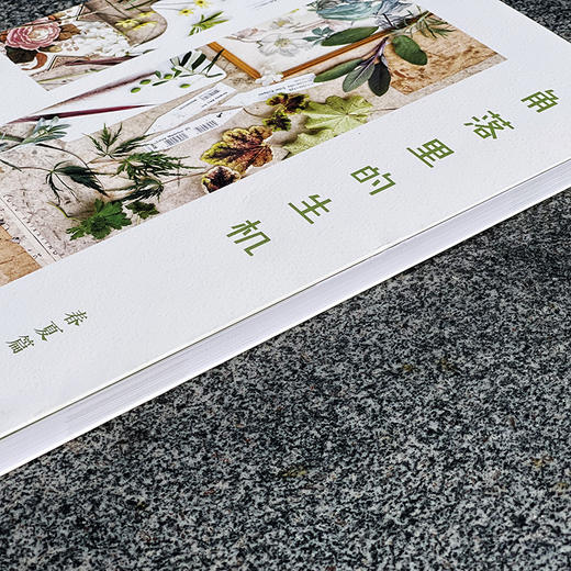 角落里的生机  图解幼儿园自然角的创设与变化 春夏篇+秋冬篇2册 胡洁著 商品图2