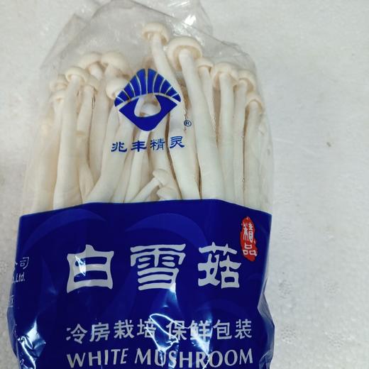兆丰精灵白玉菇 商品图0