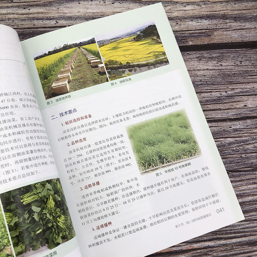 现代高效农业种养技术 新型经济主体种植书籍 养殖技术宝典 新品种新肥料新农药新设施新技术 农村实用型技术人才应用培训资料 无 化学工业出版社 9787122402318 商品图3