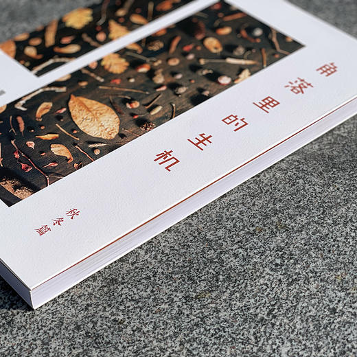 角落里的生机  图解幼儿园自然角的创设与变化 春夏篇+秋冬篇2册 胡洁著 商品图1