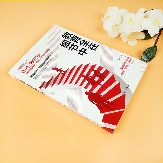 教育全在细节中：哈佛博士华东师范大学学前教育专家妈妈陪伴三个孩子的家教心得！ 商品图2