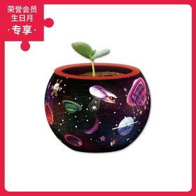 80片 盆栽拼图 塑料拼图 K1046 星星乐园