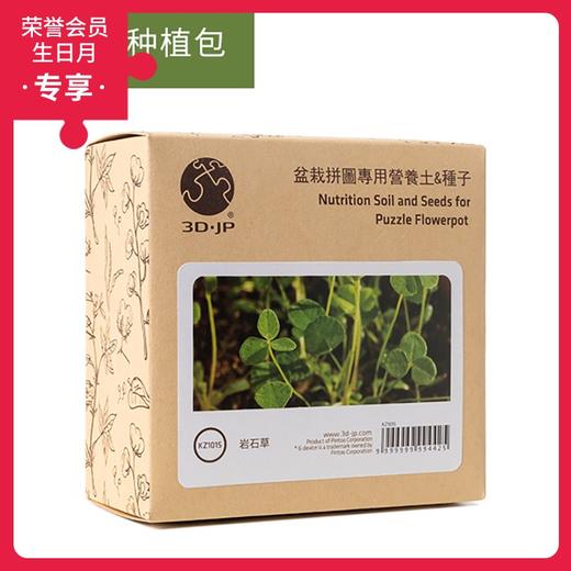 盆栽种植包 KZ1015 岩石草 商品图0