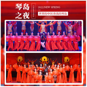 《琴岛之夜》二楼门票