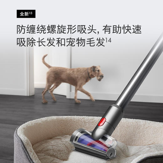 BF|戴森吸尘器V12 Detect Slim Total Clean 商品图3