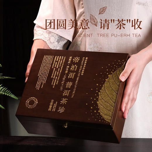天士力帝泊洱即溶普洱茶珍古树普洱茶珍100支礼盒装送礼高端茶礼健康礼盒 商品图0
