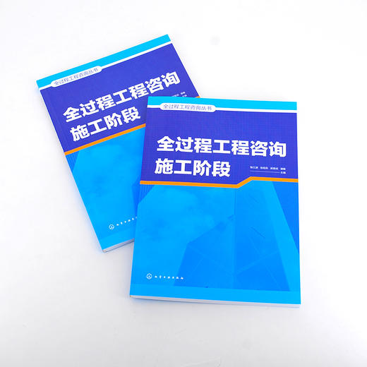 全过程工程咨询丛书--全过程工程咨询施工阶段 商品图4