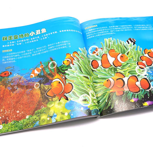 童眼识天下科普馆 蓝色的海洋 3-6-12岁儿童海洋知识启蒙百科 海洋科学启蒙入门书 迷你版海洋简史 海洋知识科普书 儿童课外科普书 无 化学工业出版社 9787122381255 商品图3