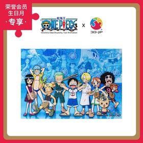 696片 无框平面拼图 塑料拼图 HN1145 ONE PIECE-职业派对