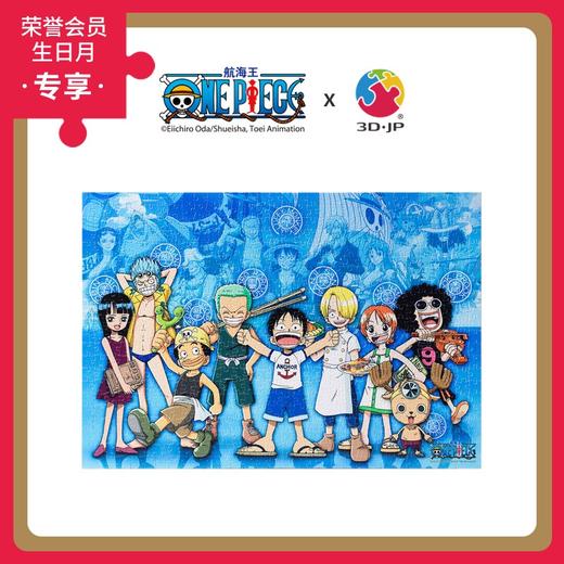 696片 无框平面拼图 塑料拼图 HN1145 ONE PIECE-职业派对 商品图0