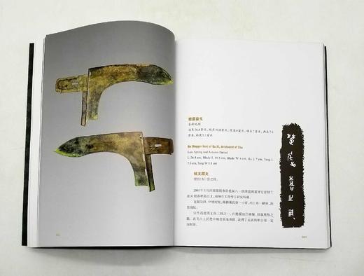 《夜郎青铜文明探微》《大邦之梦：吴越楚青铜器》，16开，张合荣、苏州博物馆编著，上海古籍2018年版，分别定价：108，198，分别售价58、98，合售价：150元。非偏远地区包邮。 商品图9
