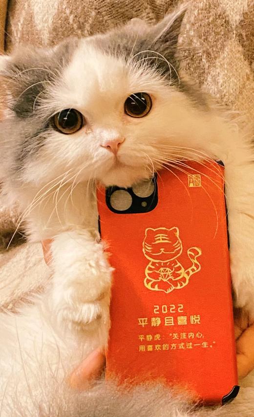 静心手机壳 | 时刻提醒自己，做有意义的事*袁奕 商品图2