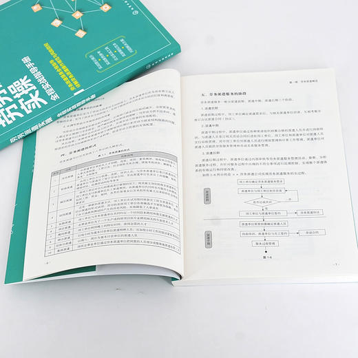 人力资源管理从入门到精通系列 劳务派遣实操 全程实战指导手册 劳务派遣运营管理应用书籍 员工管理合同与协议风险管理应用书籍 化学工业出版社 9787122398154 商品图2