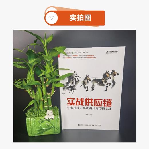 实战供应链:业务梳理.系统设计与项目实战 商品图4