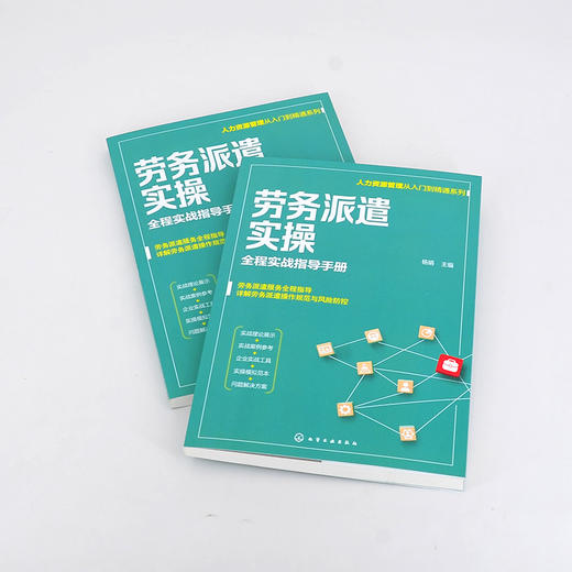 人力资源管理从入门到精通系列 劳务派遣实操 全程实战指导手册 劳务派遣运营管理应用书籍 员工管理合同与协议风险管理应用书籍 化学工业出版社 9787122398154 商品图1