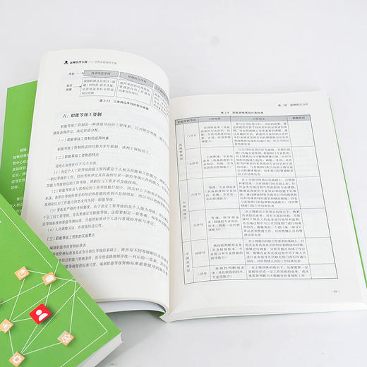 人力资源管理从入门到精通系列 薪酬管理实操 全程实战指导手册 从零开始学人力资源 零基础人力资源入门书籍 人力资源必读书籍 化学工业出版社 9787122398604 商品图3