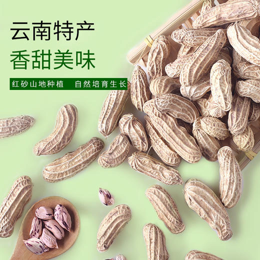 七彩花生500g/袋 商品图2