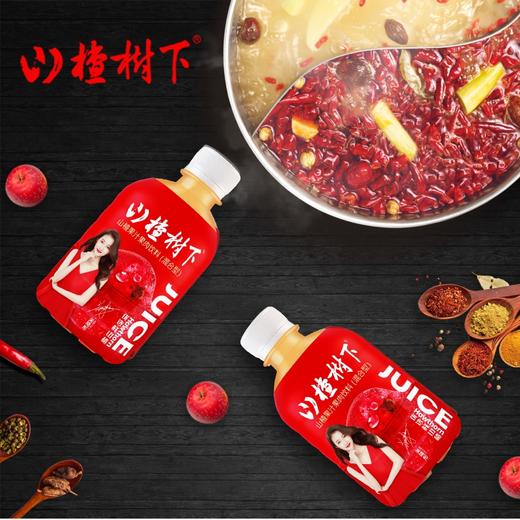 冠芳山楂树下果汁饮料350ml*15 商品图0