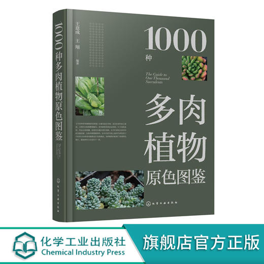1000种多肉植物原色图鉴 多肉仙人掌植物图鉴 多肉图谱 多肉种植培育书籍 多肉植物爱好者休闲参考书 科研管理引种工作者专业书籍 无 化学工业出版社 9787122380777 商品图0