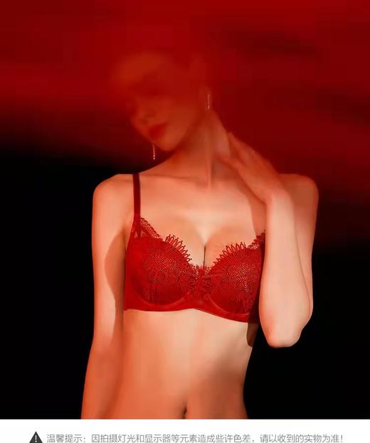 5F Embryform安莉芳 喜乐安家新年红品刺绣蕾丝文胸 商品图0