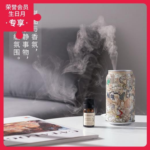 72片 香薰机拼图 塑料拼图 CD1016 正先生-每日一猫 商品图0