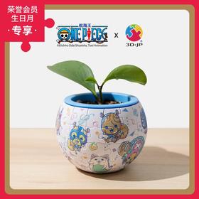 80片 盆栽拼图 塑料拼图 K1070 航海王ONE PIECE- Q版小动物