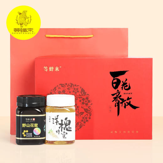 等蜂来 百花齐放蜂蜜礼盒丨野山花蜜500g+洋槐蜜500g丨一级品金奖蜂蜜 商品图1