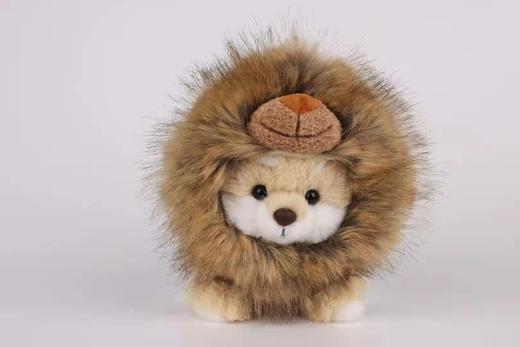 柴犬系列-小号站款-狮子衣服 商品图0