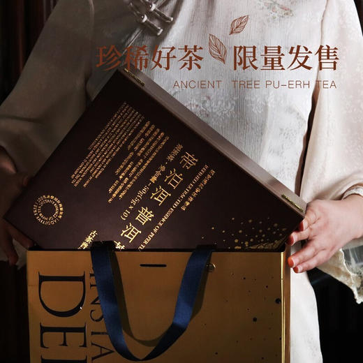 天士力帝泊洱即溶普洱茶珍古树普洱茶珍100支礼盒装送礼高端茶礼健康礼盒 商品图2