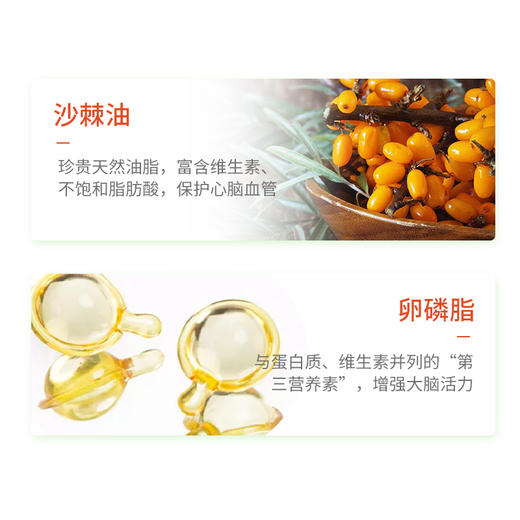 枸杞葡萄籽沙棘油软胶囊 商品图5