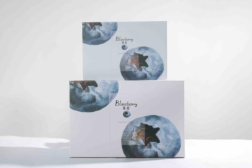 大凉山蓝莓｜云南种植怡颗莓蓝莓125ml1 商品图0