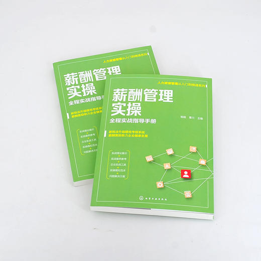 人力资源管理从入门到精通系列 薪酬管理实操 全程实战指导手册 从零开始学人力资源 零基础人力资源入门书籍 人力资源必读书籍 化学工业出版社 9787122398604 商品图4