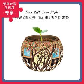 80片 盆栽拼图 K1062 向左走·向右走-枫叶变红那天