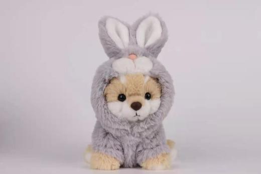 柴犬系列-小号站款-灰兔子衣服 商品图0