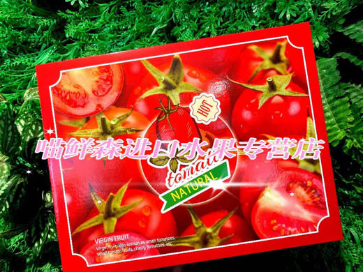 🛵沙地 千禧果高糖喜柿🍅爆浆小番茄 1kg 商品图6