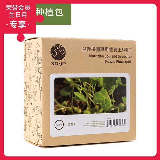 盆栽种植包 KZ1016 追云草 商品图0