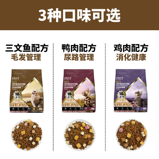 【冻鲜系列】伯纳天纯冻鲜系列成猫幼猫通用型鸡肉三文鱼鸭肉冻干鲜肉猫粮500g 商品图4