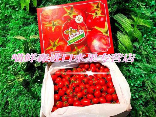 🛵沙地 千禧果高糖喜柿🍅爆浆小番茄 1kg 商品图0