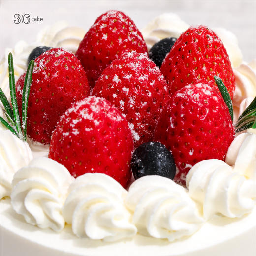 迷你多肉草莓蛋糕，可选4英寸（fwh） 商品图3