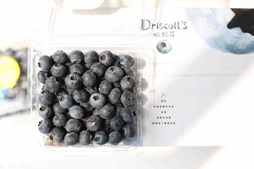 大凉山蓝莓｜云南种植怡颗莓蓝莓125ml1 商品图1