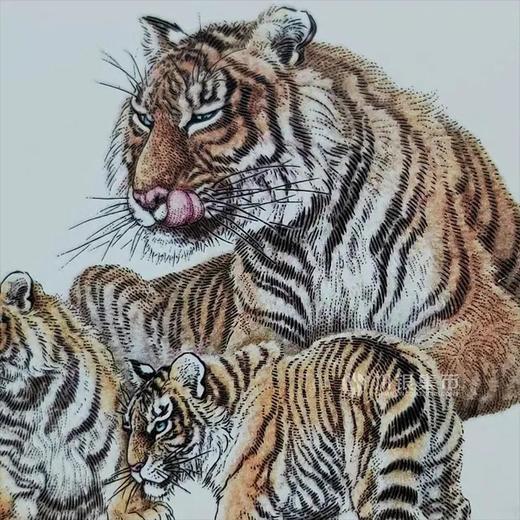 2022虎年生肖邮票 小版张 商品图7