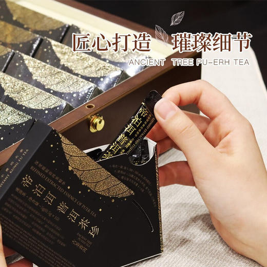 天士力帝泊洱即溶普洱茶珍古树普洱茶珍100支礼盒装送礼高端茶礼健康礼盒 商品图4