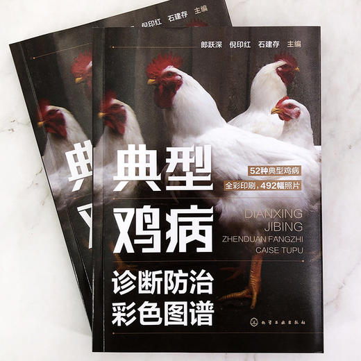 典型鸡病诊断防治彩色图谱 零基础学养鸡 养鸡专业书籍 典型鸡病常见鸡病预防书籍 重大隐患鸡病诊断技巧 鸡病常识图鉴与防控技术 化学工业出版社 9787122397423 商品图1