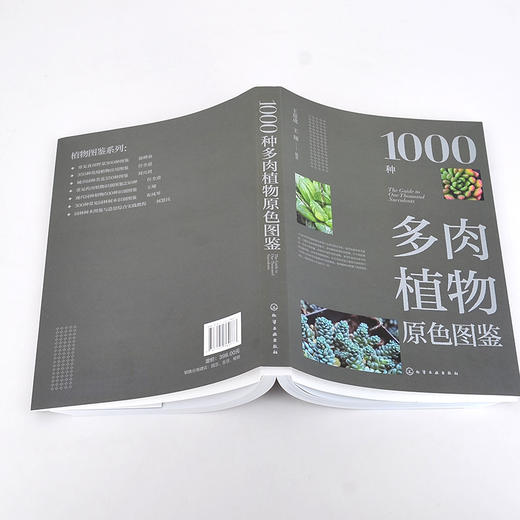 1000种多肉植物原色图鉴 多肉仙人掌植物图鉴 多肉图谱 多肉种植培育书籍 多肉植物爱好者休闲参考书 科研管理引种工作者专业书籍 无 化学工业出版社 9787122380777 商品图1