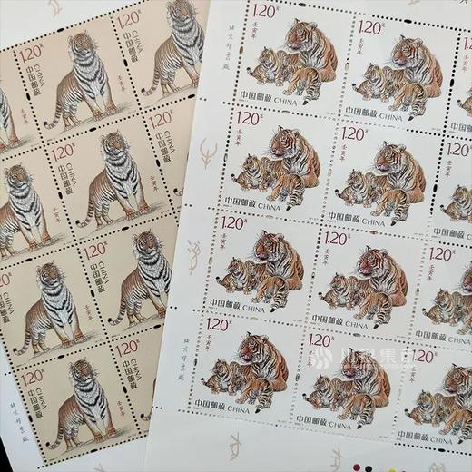 2022虎年生肖邮票 大版 商品图3