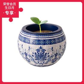 80片 盆栽拼图 塑料拼图 K1073 经典图腾