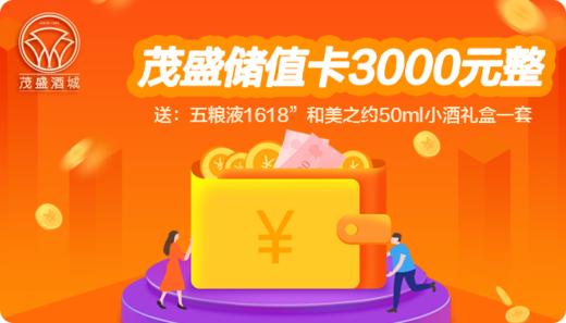 【推荐】茂盛酒城储值卡（3000元） 商品图0